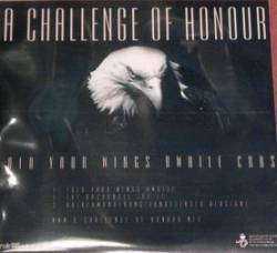 A Challenge Of Honour : Fold Your Wings Awhile